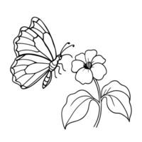 a butterfly is extracting nectar from a impatiens flower, illustration line art vector