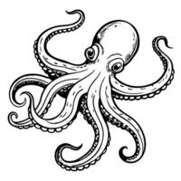 tentacles of an octopus hand drawn illustration in engraving technique isolated on white vector