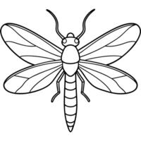 a coloring page of an mayfly with no color just black lines, illustration line art vector