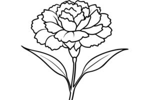 an image of carnation flower silhouette with a white background, illustration line vector