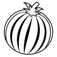 a coloring page of an food zebratomato with no color just black lines, illustration line art vector