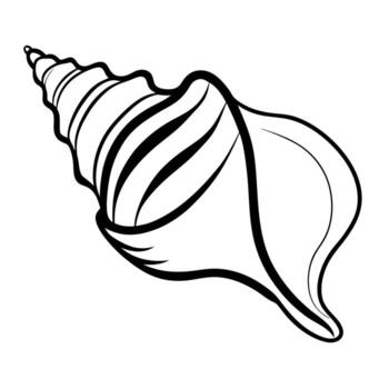 3d rendering of dynamic conch with silhouette beautiful line art, illustration line art vector