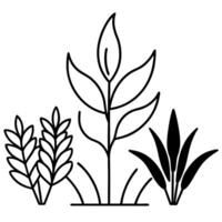 accent expensive plants and trees, illustration line art vector