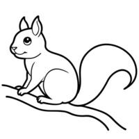 squirrel in the tree branch, illustration line art vector