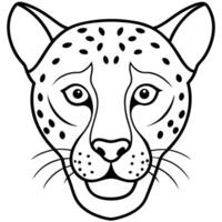 a cheetah head with white background, illustration line art vector