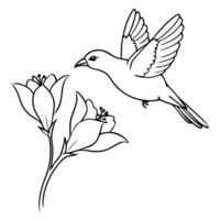 the bird is flying on this freesia flower, illustration line art vector