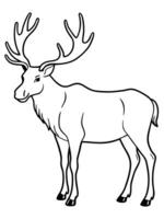 the largest species of deer, moose have long legs and large, flat antlers they are found in vector