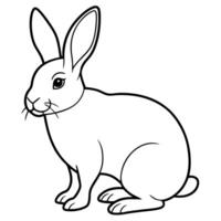 rabbit line art, illustration line art vector