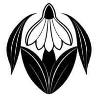 a snowdrop with two leaves, illustration line art vector