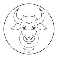 zodiac, illustration line art vector