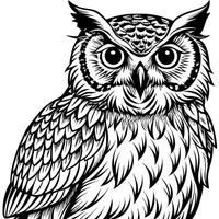 a high-contrast, detailed image of an owl suitable for laser engraving on plywood the image should vector