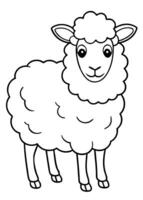 sheep for coloring book, illustration line art vector