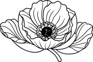 illustration, poppy flower, is done in a modern style, with clean, straight, crisp lines, vector