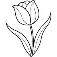 a vibrant tulip with smooth, curved petals, standing tall on a slender stem, illustration vector