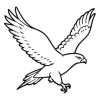 common buzzard in flight, illustration line art vector