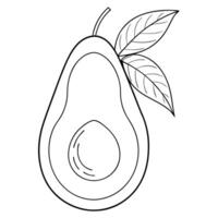 avocado, illustration line art vector
