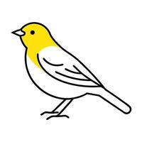 yellow warbler icon, illustration line art vector