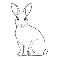 rabbit, illustration line art vector