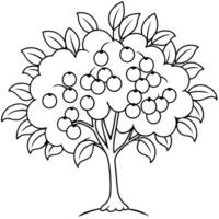 buckthorn tree, illustration line art vector