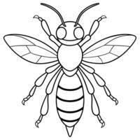 a coloring page of an hornet with no color just black lines, illustration line art vector