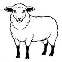 sheep, illustration line art vector