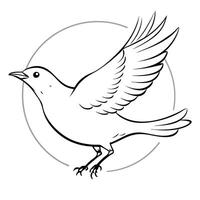 a blackbird is jamping, illustration line art vector