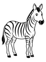 zebra, illustration line art vector