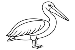 pelican line art , illustration line art vector