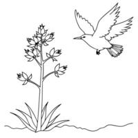 the bird is flying on this yucca flower, illustration line art vector