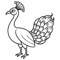a drawing of a peacock with a large head and a long tail, ink artwork, very intricate art, unique vector
