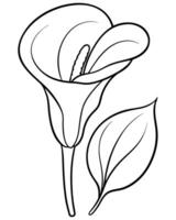 a coloring page of an calla with no color just black lines, illustration line art vector