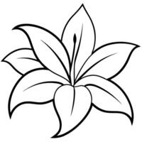 an image of lily silhouette with a white background, illustration line art vector