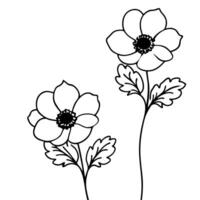 anemones flower right side, illustration line art vector