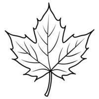 falling leaf, a single, large maple leaf gently falling through the air, illustration line vector