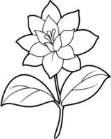 a coloring page of an daphne flower with no color just black lines, illustration line art vector