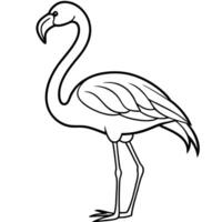 beautifu bird flamingos - cutter friendly silhouette white background, illustration line art vector