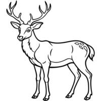 red deer collection portrait, standing, side view, animal bundle isolated on a white background as vector