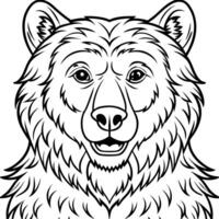 the bear, illustration line art vector