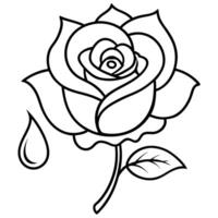 a red rose with water droplets on it, illustration line art vector