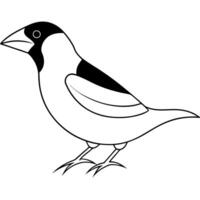 headed grosbeak jumping, illustration line art vector