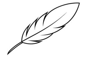 simple or detailed feather designs, popular in boho-themed projects, illustration line art vector