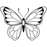 butterfly white background, illustration line art vector