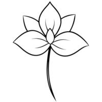 a black and white sketch of a jasmine flower with a large, stylized petal and a long stem, vector