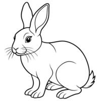 rabbit, white background, illustration line art vector