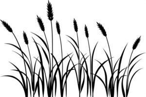 a pack of ornamental grass silhouettes, featuring tall grasses and reeds with slender, arching vector