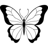 silhouette of big butterfly on a white background, illustration line art vector