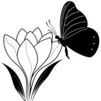 a butterfly is extracting nectar from a crocus flower, illustration line art vector