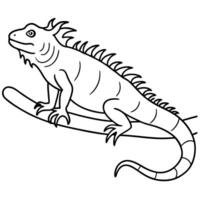 green iguana outline a green iguana perched on a branch with its dewlap extended and spiny back, vector