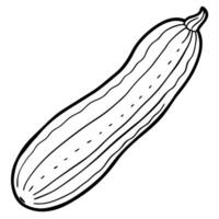 a detailed illustration of a persian cucumber on a clean white background highlight its vector