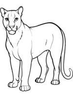 puma full, illustration line art vector